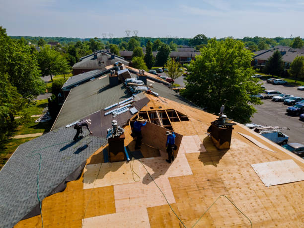 Best Commercial Roofing Services  in Stanton, MI