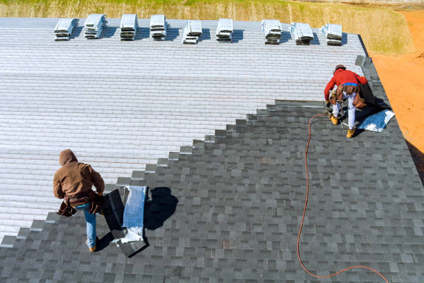 Best Metal Roofing Contractor  in Stanton, MI