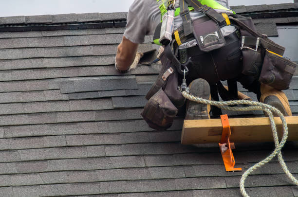 Best Flat Roof Repair Services  in Stanton, MI