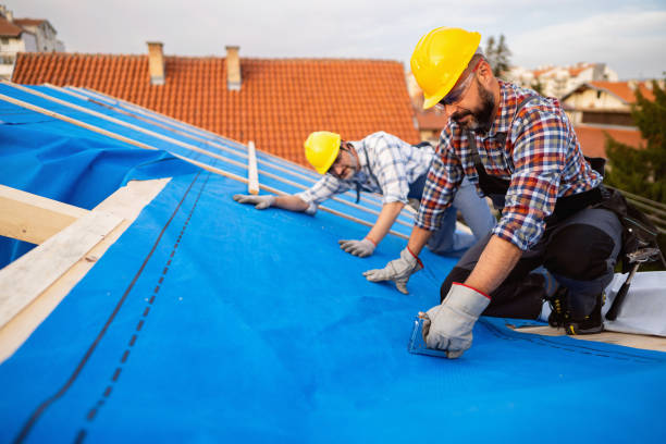 Roof Repair Estimates in Stanton, MI