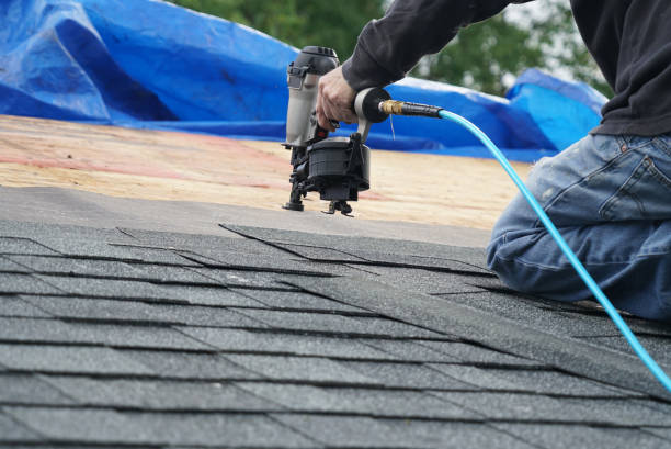 Best Best Roofing Contractors  in Stanton, MI