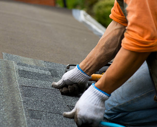 Best Affordable Roof Replacement  in Stanton, MI