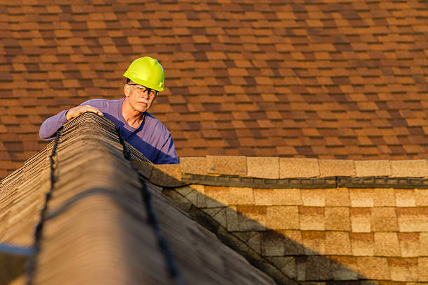 Best Roof Gutter Cleaning  in Stanton, MI