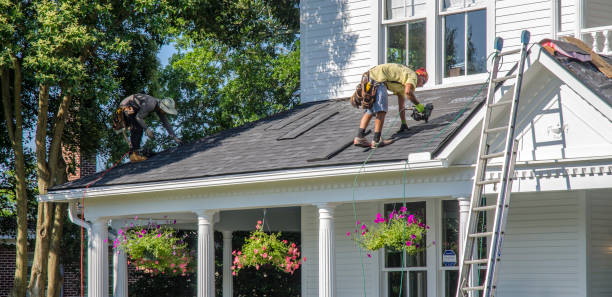 Best Roof Waterproofing Services  in Stanton, MI