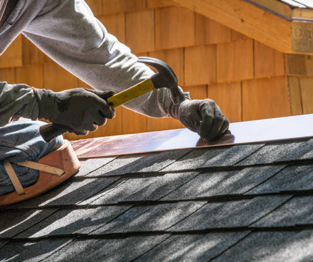 Best Residential Roofing Contractor  in Stanton, MI